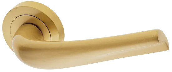 RAFT R2 OSA, ручка дверная, цвет - матовое золото фото купить Нижний Новгород